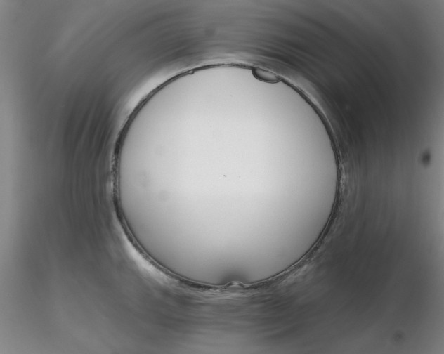 X0000116301143200912211856