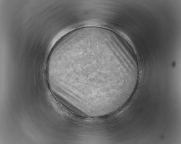 X0000116301146200912211856