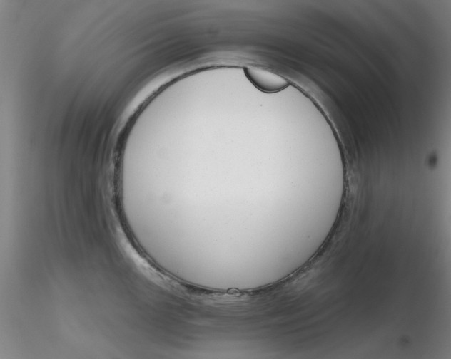 X0000116301147200912211856