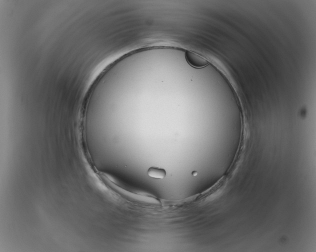 X0000116301149200912211856