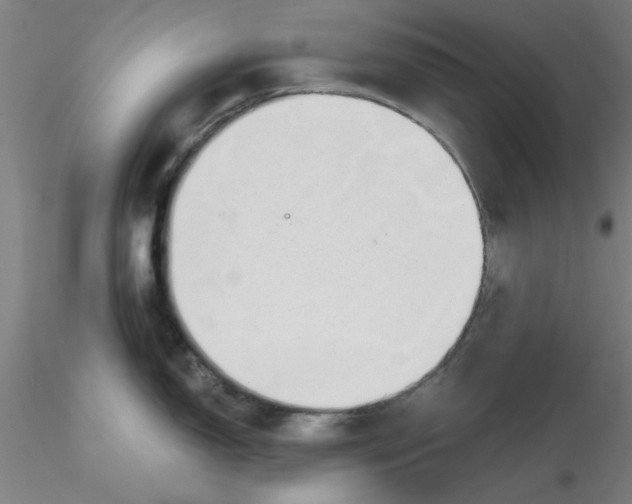 X0000116301150200912211856