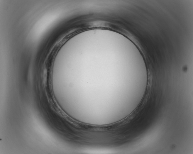 X0000116301151200912211856