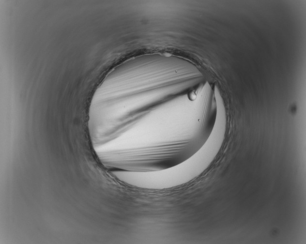 X0000116301153200912211855