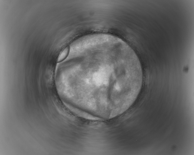 X0000116301154200912211855