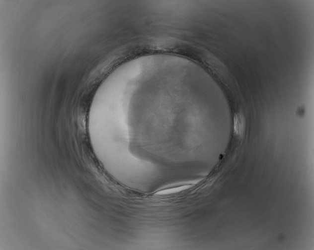 X0000116301155200912211855