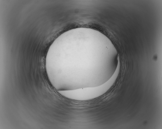 X0000116301156200912211855