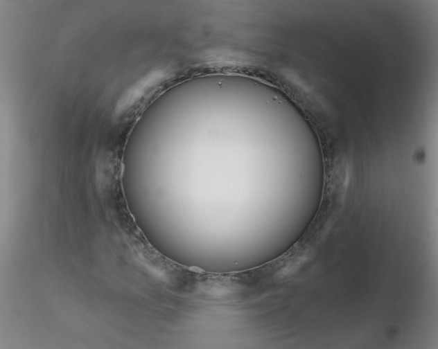 X0000116301157200912211855