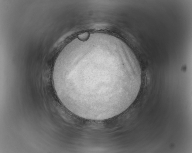 X0000116301158200912211855