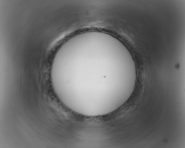 X0000116301159200912211855