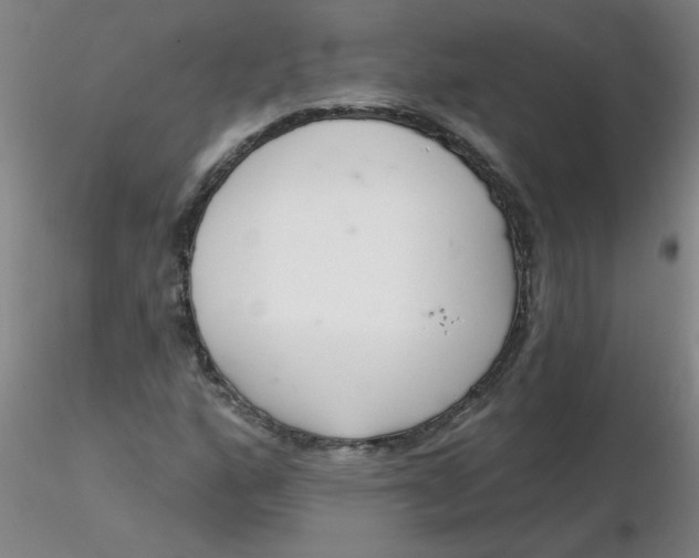 X0000116301160200912211855