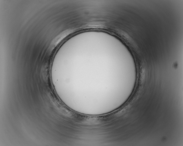 X0000116301162200912211855