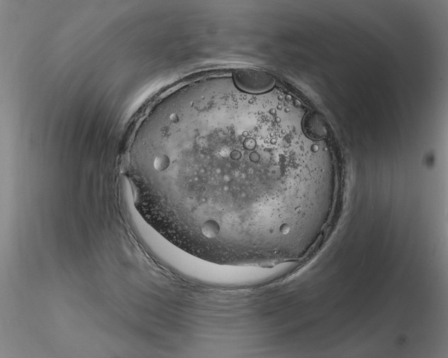 X0000116301163200912211855