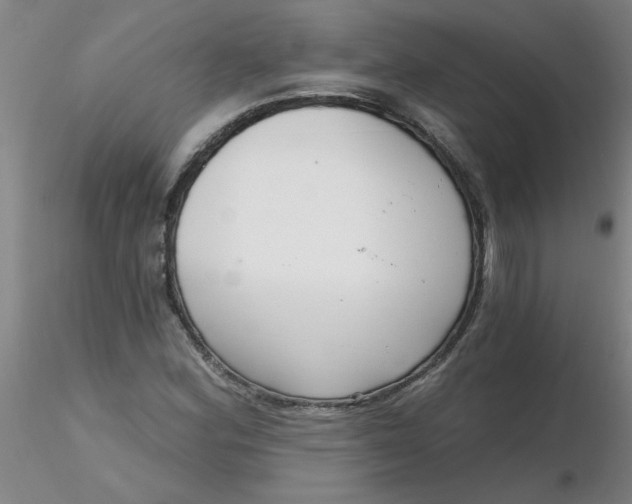 X0000116301164200912211855