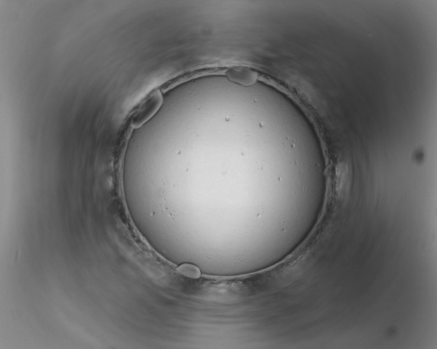 X0000116301165200912211855