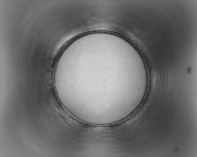 X0000116301166200912211855