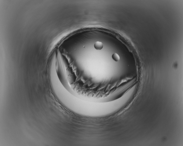 X0000116301167200912211855