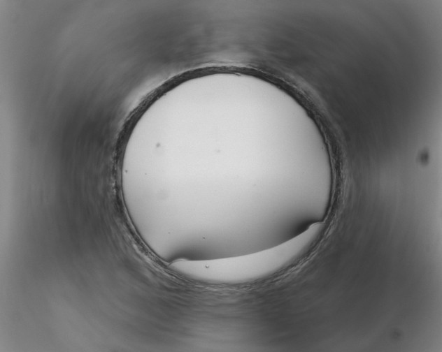 X0000116301168200912211855