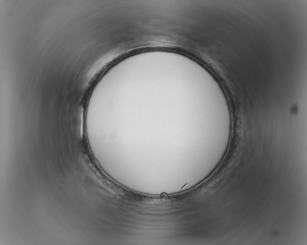 X0000116301171200912211855