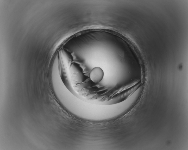 X0000116301173200912211855