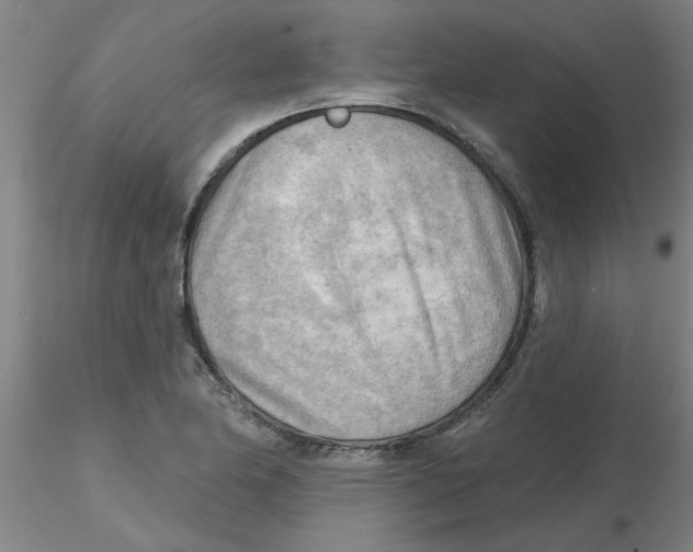 X0000116301174200912211855