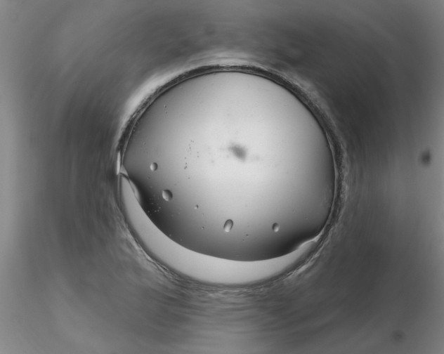 X0000116301175200912211855