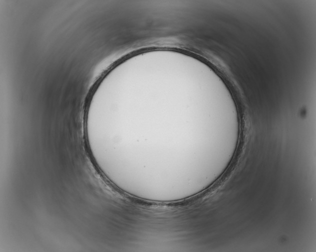 X0000116301176200912211855