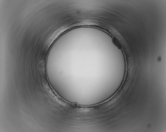 X0000116301177200912211855