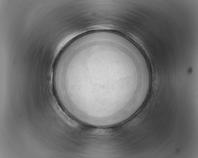 X0000116301179200912211855