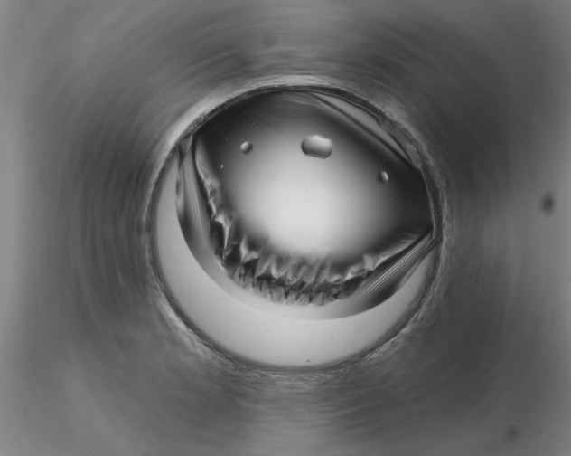 X0000116301181200912211855