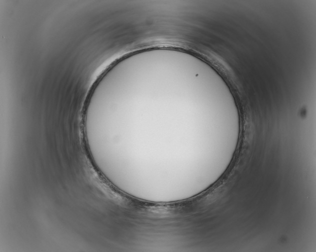 X0000116301182200912211855