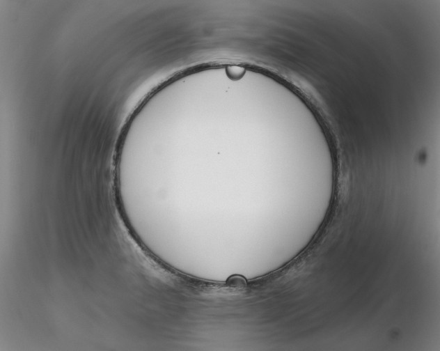 X0000116301183200912211855