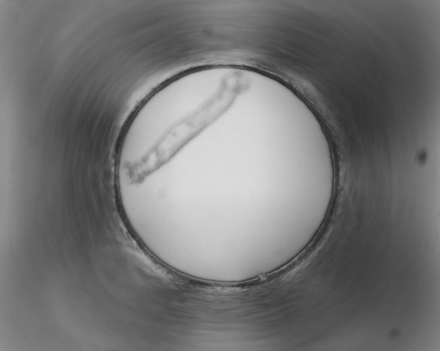 X0000116301184200912211855