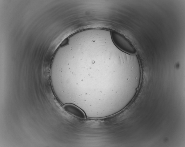 X0000116301185200912211855