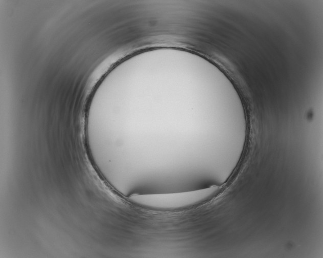 X0000116301188200912211855