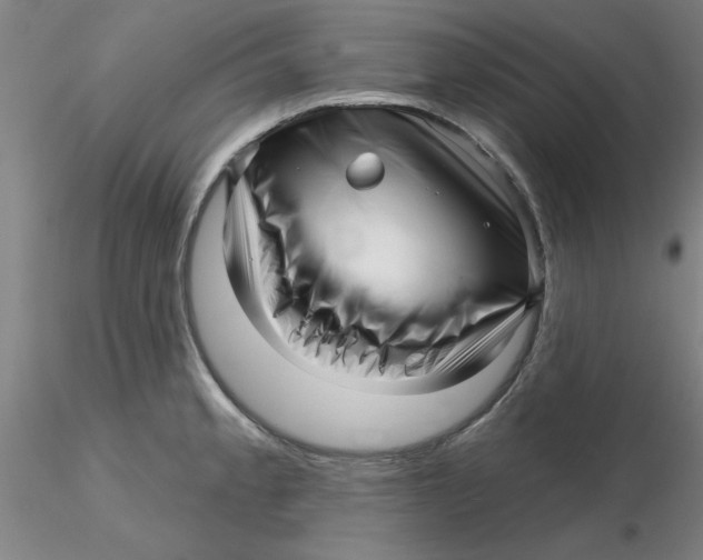 X0000116301189200912211855