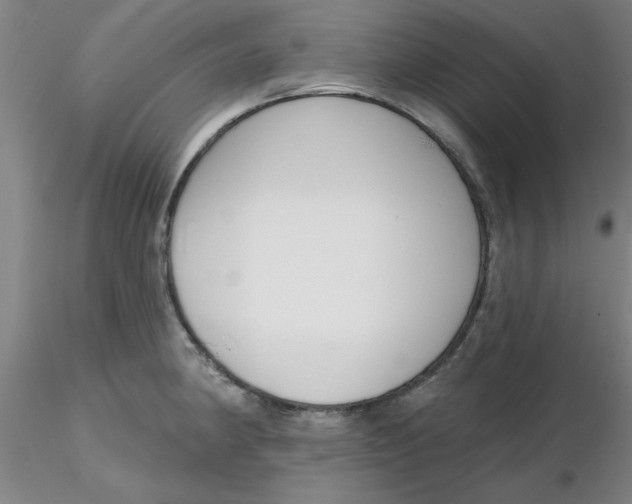 X0000116301190200912211855