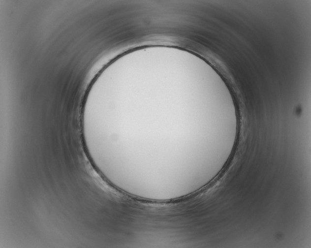 X0000116301192200912211855