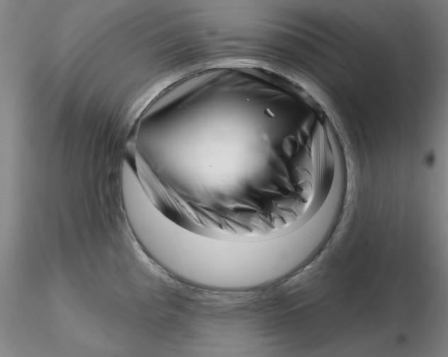 X0000116301193200912211855