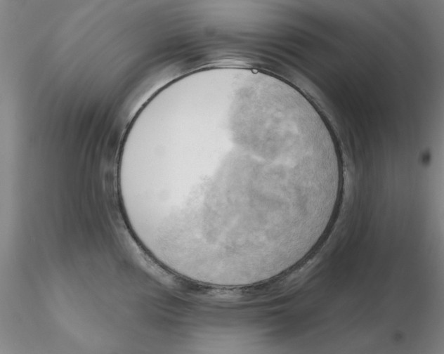 X0000116301194200912211855