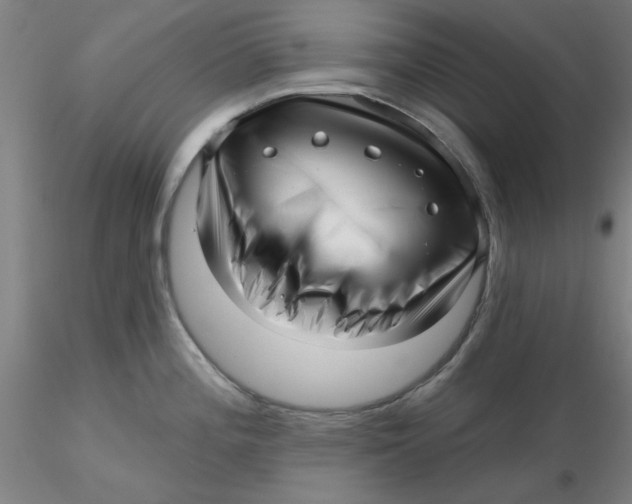 X0000116301196200912211855