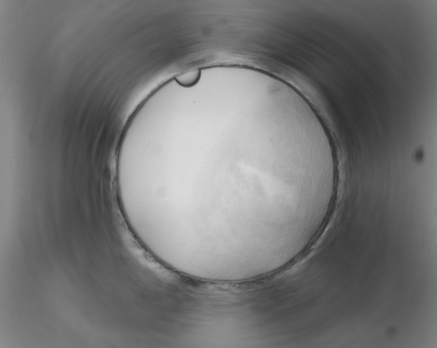 X0000116301198200912211855