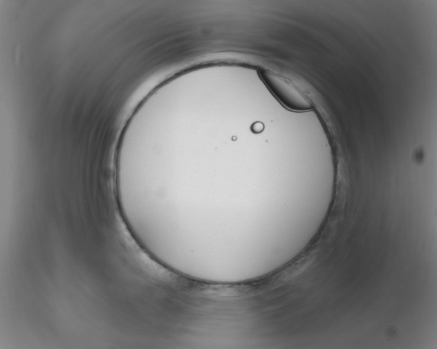 X0000116301199200912211855