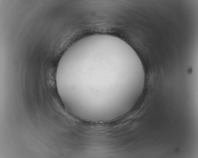 X0000116301202200912211854