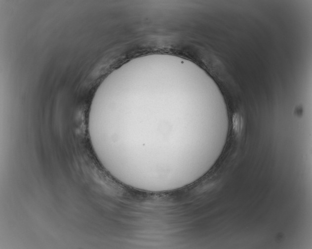 X0000116301203200912211854