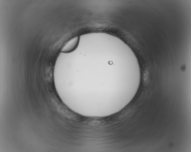 X0000116301204200912211854