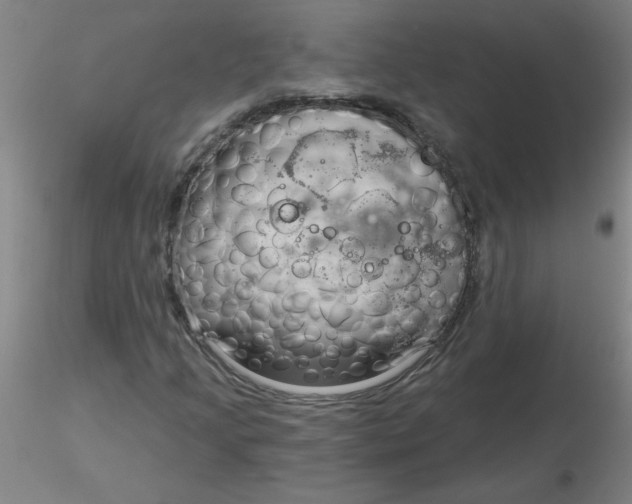 X0000116301205200912211854