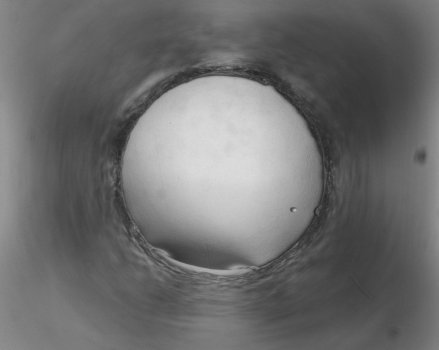 X0000116301206200912211854