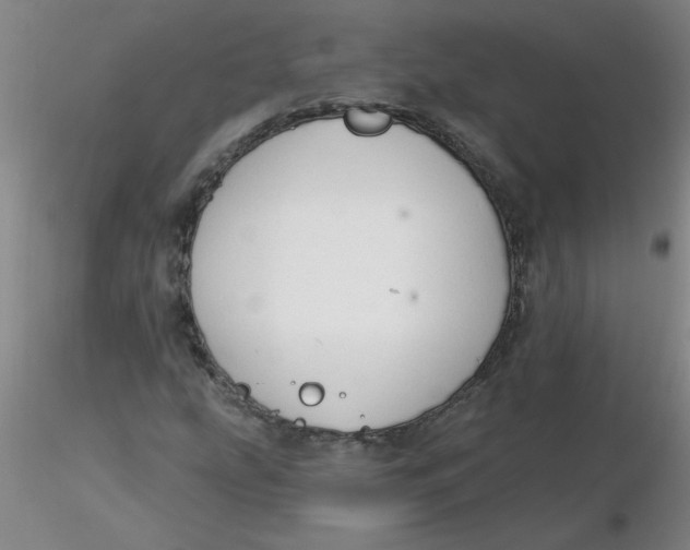 X0000116301207200912211854