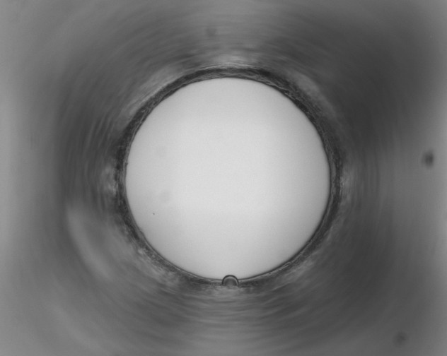 X0000116301209200912211854