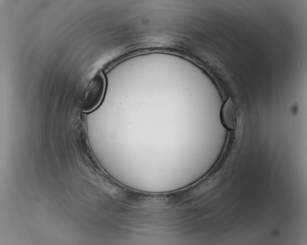 X0000116301210200912211854